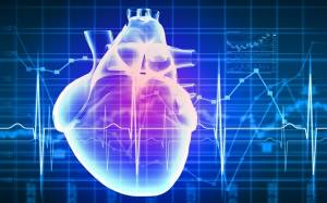 Επιστήμονες δημιουργούν τεχνητή καρδιά με 3-D βιοεκτύπωση