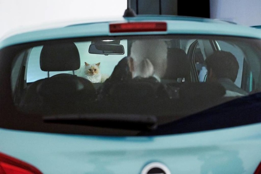 Το νέο Opel Corsa και η γάτα Βιρμανίας Choupette στο είναι σε πρώτο πλάνο στο φακό του Karl Lagerfeld
