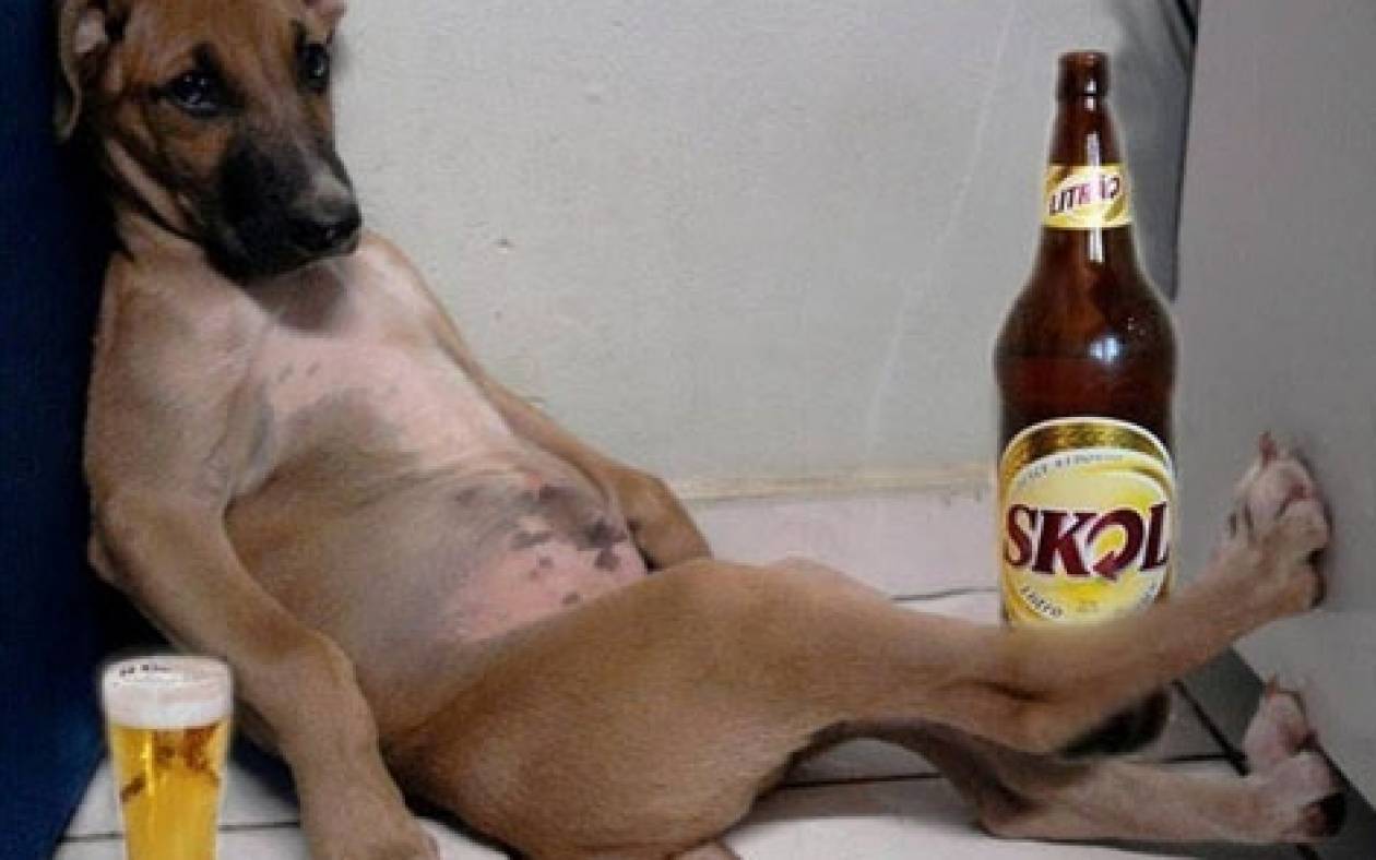 «Εεε σκύλε, πιάσε μια μπύρα!»