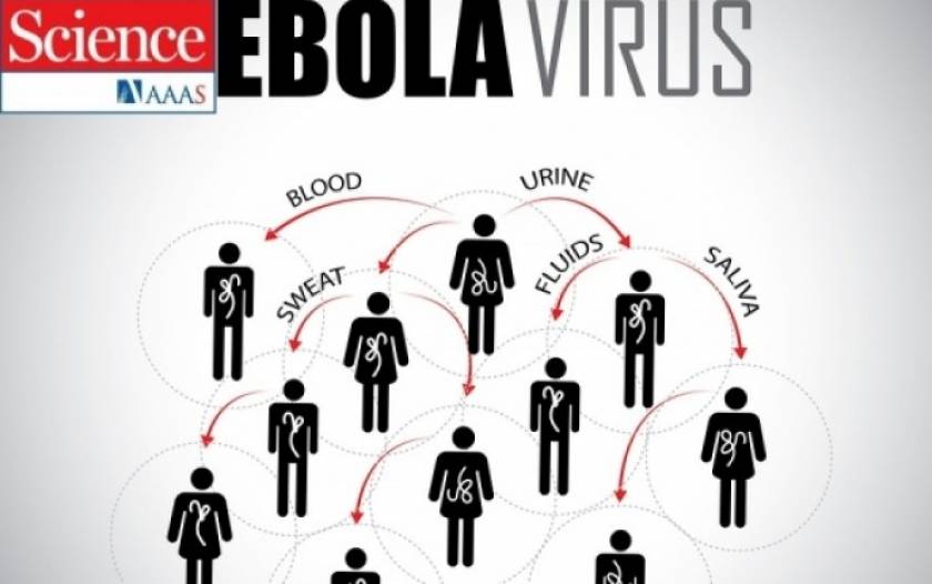 Έμπολα: Σε αυτούς τους παράγοντες θα κριθεί η μάχη με το θανατηφόρο ιό