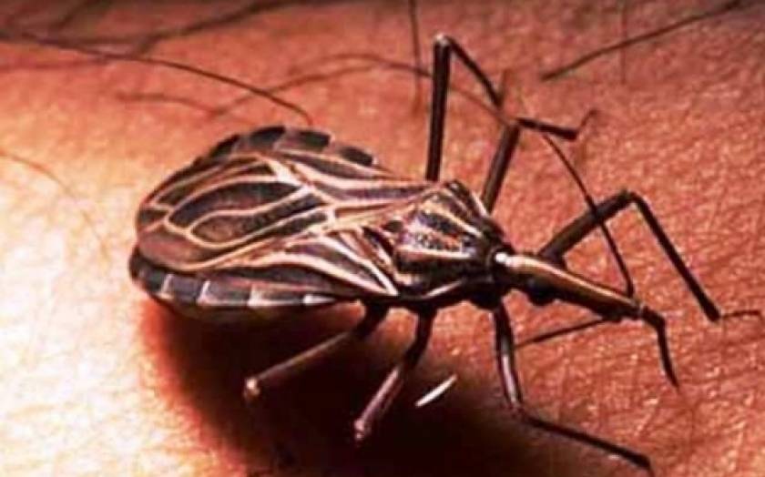 Το μολυσμένο έντομο Chagas σπέρνει τον πανικό στις ΗΠΑ