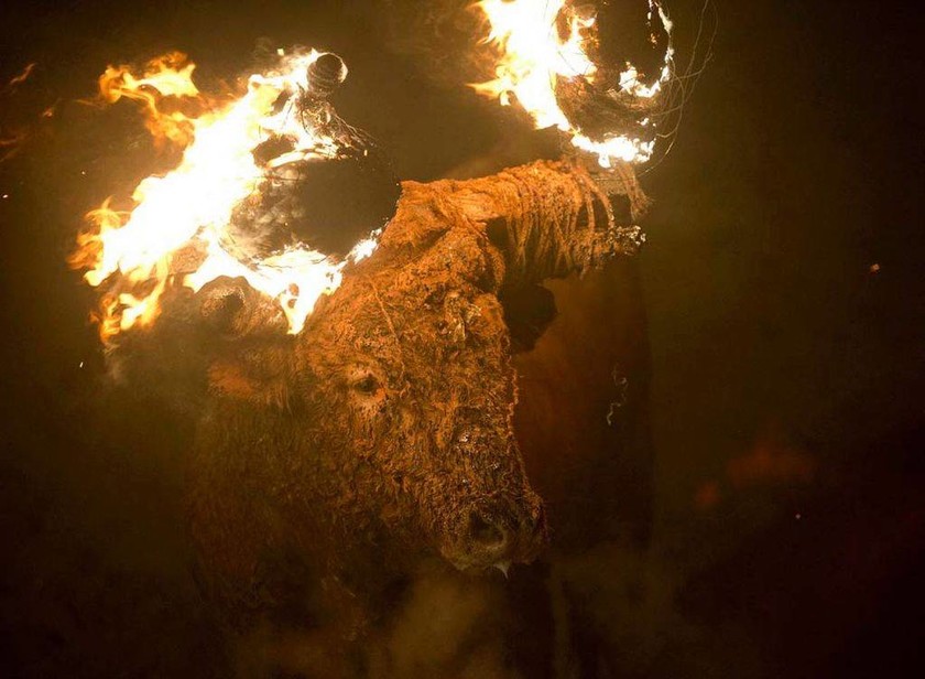Ξεσηκωμός για το ισπανικό φεστιβάλ «Φλεγόμενου Ταύρου»