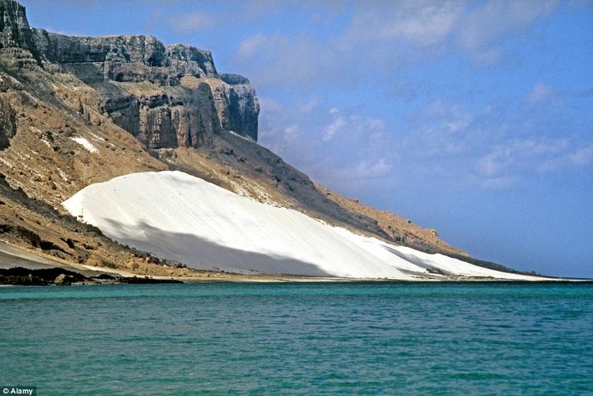 Σοκότρα – Το μυστηριώδες νησί με το εξωγήινο τοπίο 