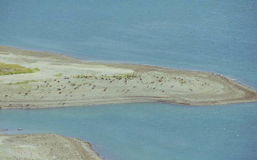 Μυστήριο με πτώμα στη λίμνη Πολυφύτου Κοζάνης