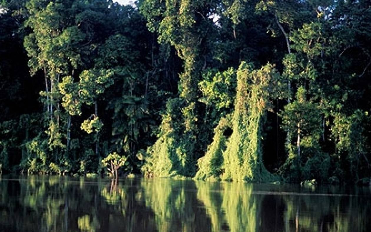 Περού: Οικολογική καταστροφή στον Αμαζόνιο