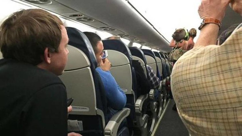 Την έδιωξαν από αεροπλάνο γιατί είχε ένα... γουρούνι (pics)