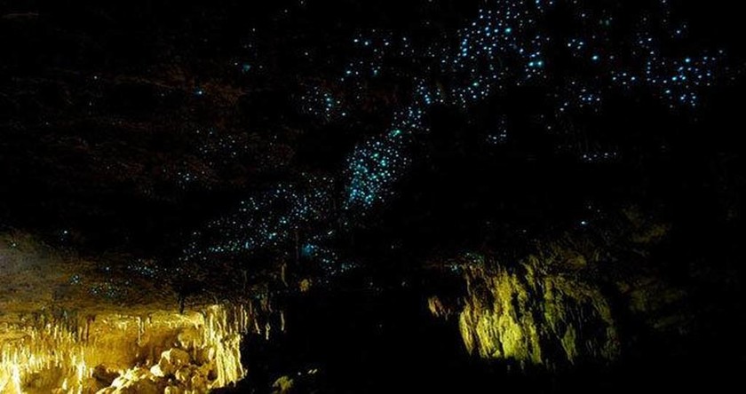 Νέα Ζηλανδία - Το μυστηριώδες σπήλαιο που λαμπυρίζει! 