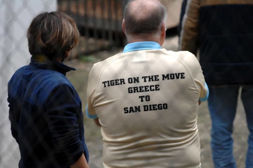 Ο τίγρης του Ζωολογικού Τρικάλων μεταφέρεται στο Σαν Ντιέγκο