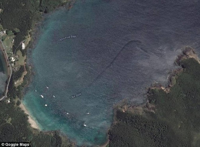 Βρήκαν μυστηριώδες πλάσμα σε φωτογραφίες του Google Earth