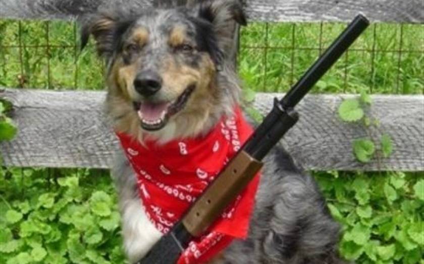 ΗΠΑ: Σκύλος… πυροβόλησε τον ιδιοκτήτη του!