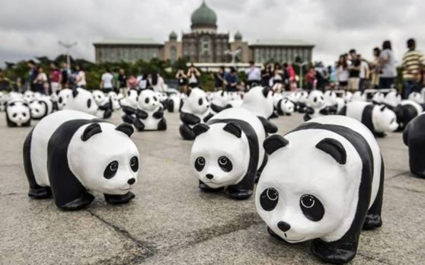 Hundreds of panda filled the streets of Malaysia