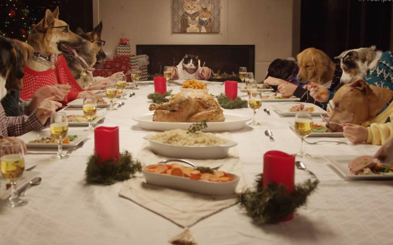 Σκύλοι και γάτες στο χριστουγεννιάτικο τραπέζι