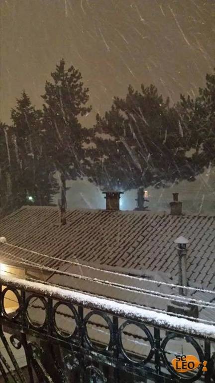 Έντονη χιονόπτωση στη Φλώρινα (Pics)