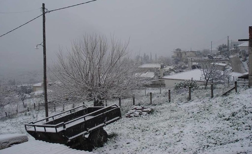 Καιρός: Σφοδρή χιονόπτωση και στη Λαμία-Η θερμοκρασία στους -6 βαθμούς (pics)