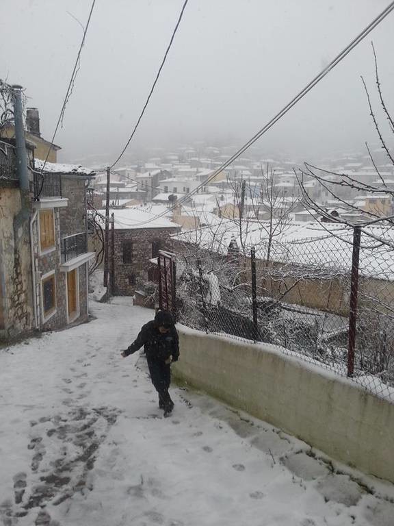 Καιρός: Ισχυρή χιονόπτωση στη Λέσβο (Pics)