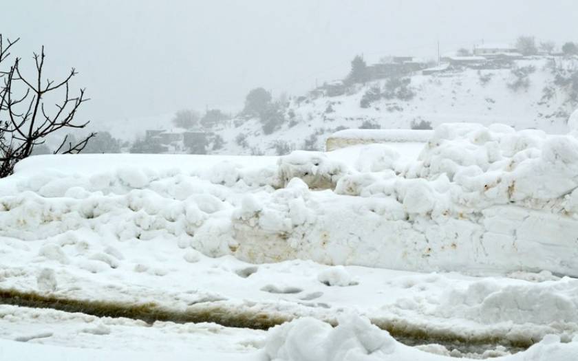 Πελοπόννησος: Καταστροφές σε καλλιέργειες λόγω του παγετού