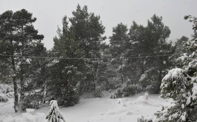 Ηράκλειο: Κλειστά τα σχολεία την Πέμπτη (8/01) λόγω χιονιά