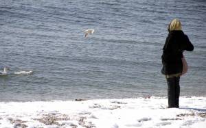 Χαλκιδική: Όταν το χιόνι φτάνει στη θάλασσα (vid)