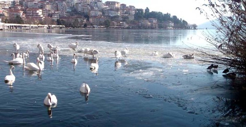  Πατινάζ στη λίμνη της Καστοριάς (Pics&Vid)