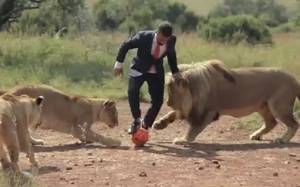 Παίζοντας μπάλα με άγρια λιοντάρια (Video)