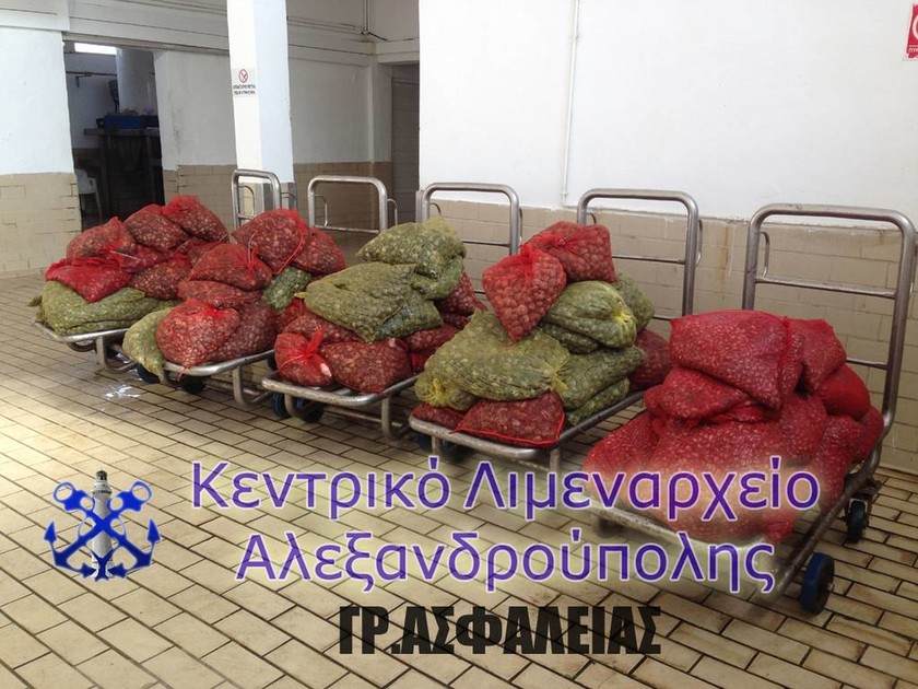 Αλεξανδρούπολη: Κατάσχεση ενός τόνου οστράκων και σύλληψη διακινητή