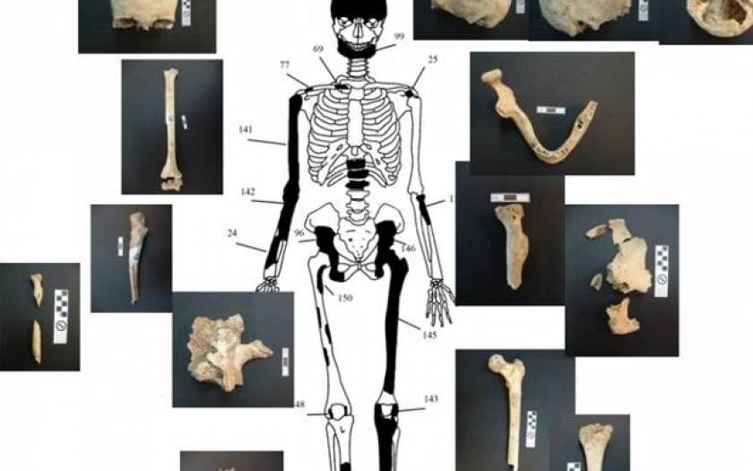 Amphipolis: Skeleton remains belonging to five individuals