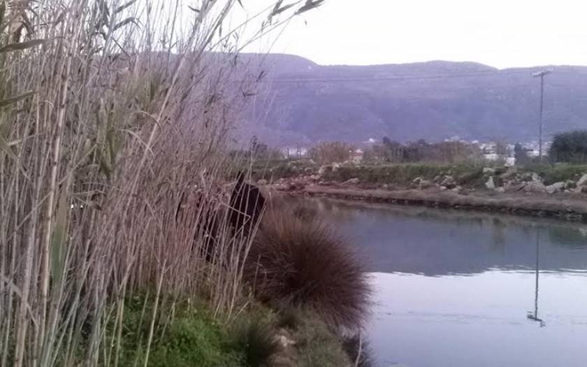 Χανιά: Εντοπίστηκε πτώμα σε ποταμό