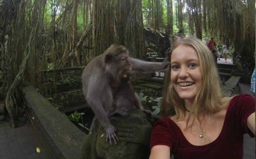 Ήθελε να βγάλει selfie με μια μαϊμού, όμως τα πράγματα δεν πήγαν όπως τα σχεδιάζε…