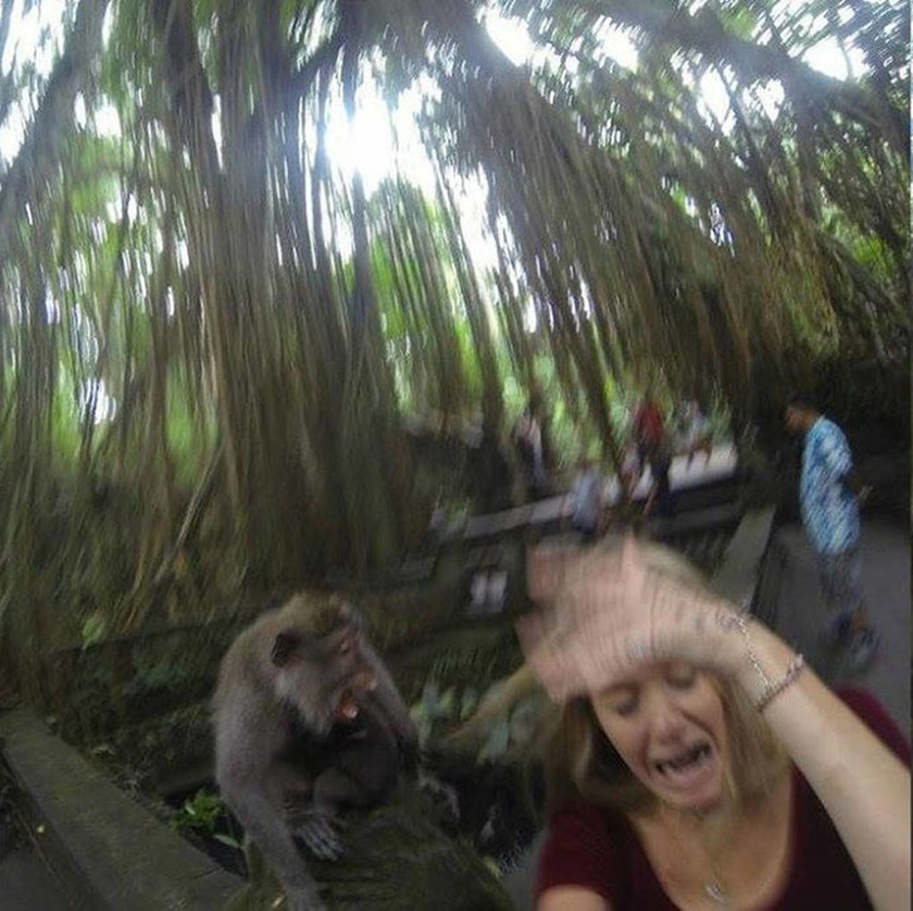 Ήθελε να βγάλει selfie με μια μαϊμού, όμως τα πράγματα δεν πήγαν όπως τα σχεδιάζε…   