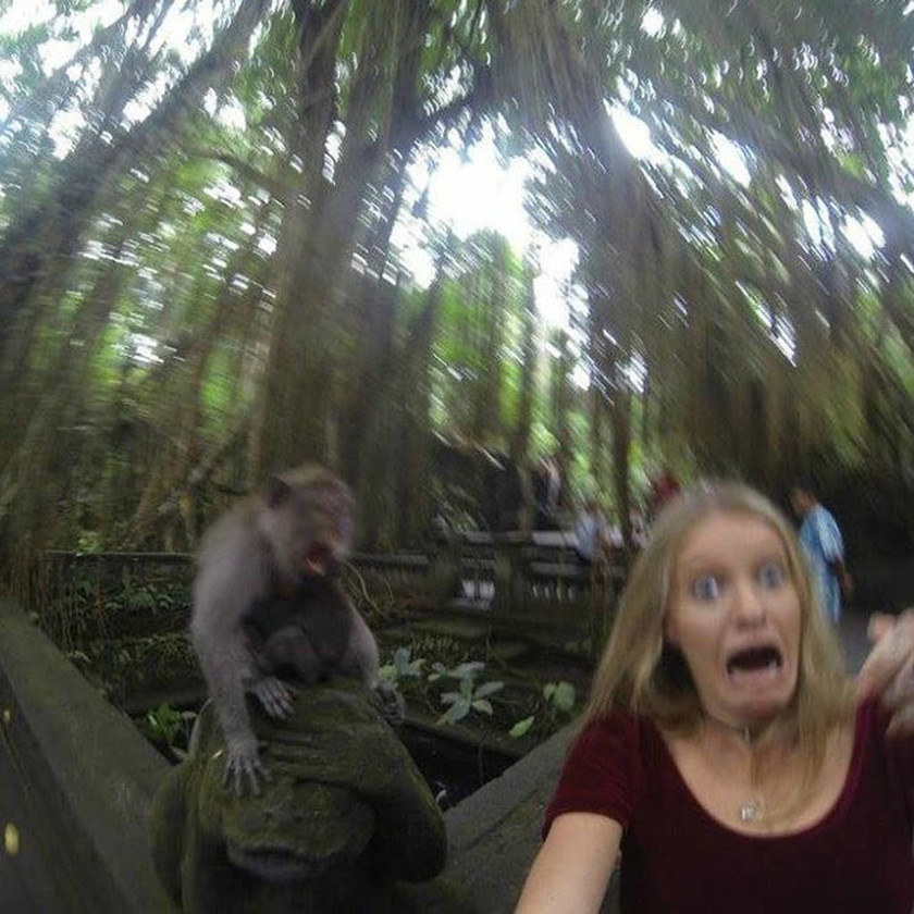 Ήθελε να βγάλει selfie με μια μαϊμού, όμως τα πράγματα δεν πήγαν όπως τα σχεδιάζε…   