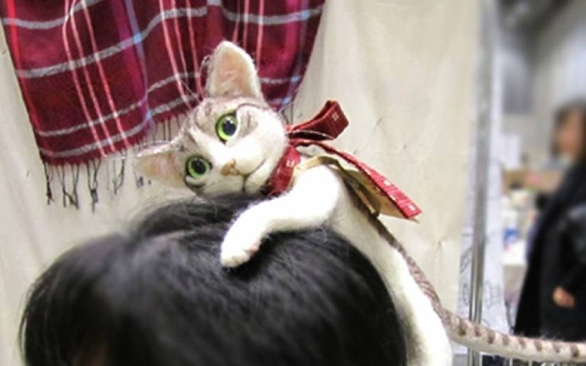 Ιαπωνία: Aξεσουάρ μαλλιών ή μια γάτα στο κεφάλι σας (photos)