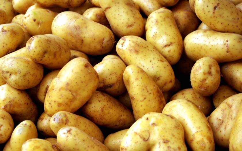Πειραιάς: Κατασχέθηκαν 300 κιλά ακατάλληλης πατάτας
