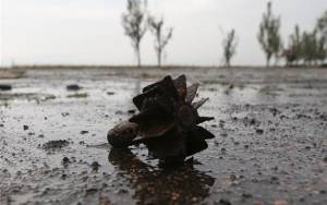Ουκρανία: 16 άμαχοι νεκροί σε συγκρούσεις το τελευταίο 24ωρο