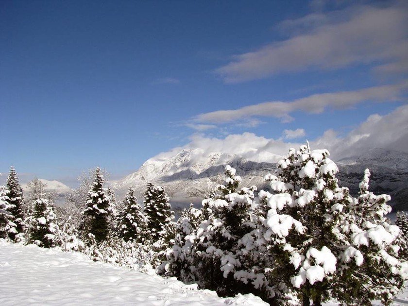 Κάντε ένα «ταξίδι» στο χιονισμένο νομό Ιωαννίνων (pics)