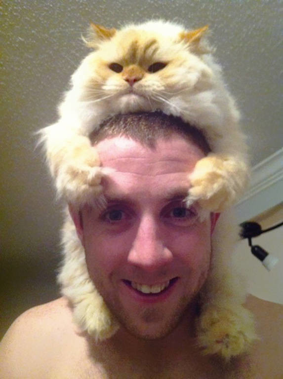 Γάτα καπέλο... και όχι δεν είναι υπονοούμενο (photos)