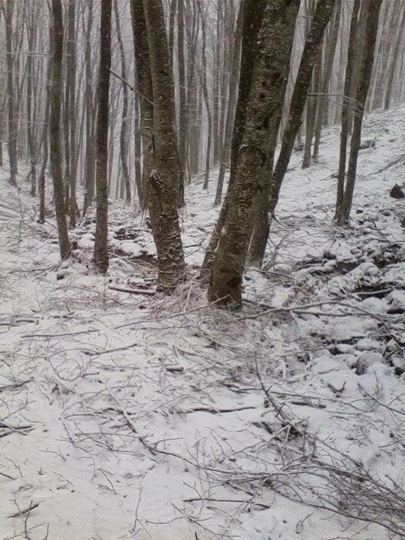 Πυκνή χιονόπτωση στα ορεινά της Ξάνθης (video&photos)