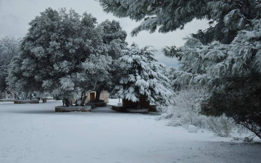 Κακοκαιρία: Χιονίζει στη Λαμία – Σε επιφυλακή οι Αρχές της πόλης