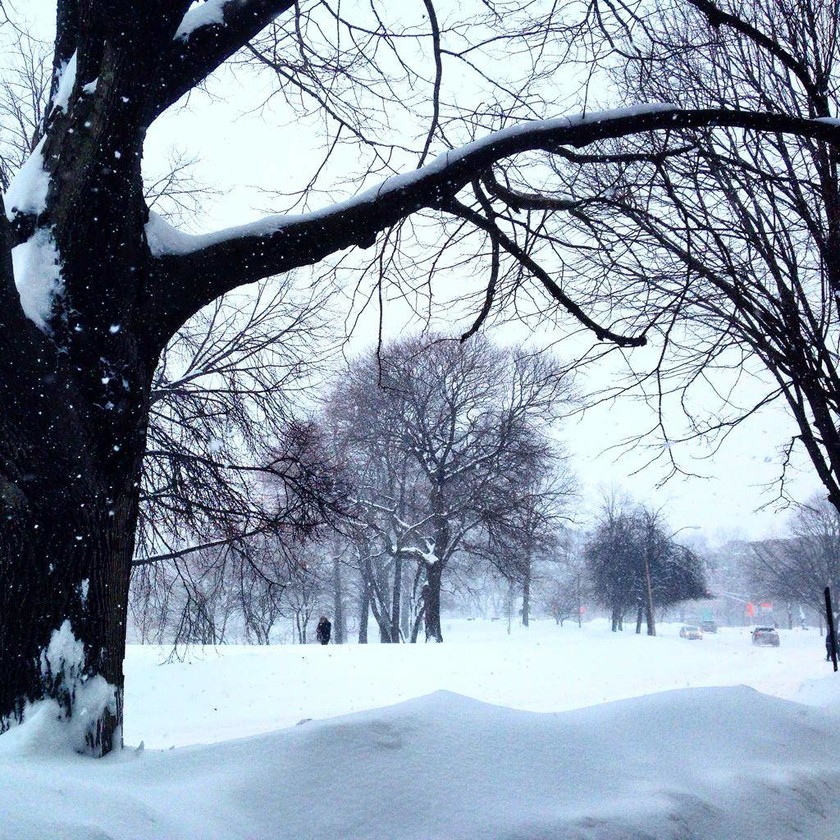 Πρωτοφανής χιονοθύελλα στη Βοστώνη (photos+videos)