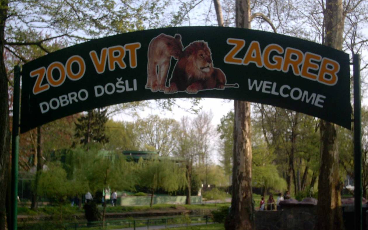Sexy tour ανήμερα του Αγ. Βαλεντίνου στον ζωολογικό κήπο του Ζάγκρεμπ
