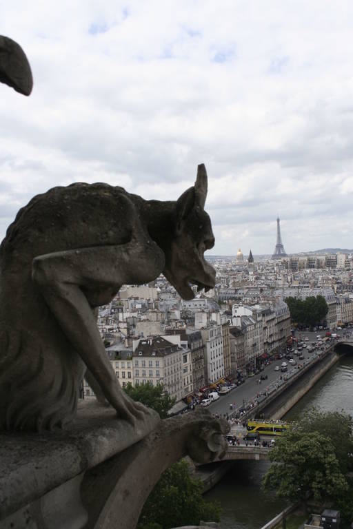 Παρίσι: Η θέα από τη Νοτρ Νταμ (photos)