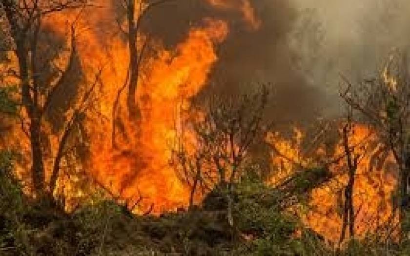 Αργεντινή: Στάχτη χιλιάδες στρέμματα γης από πυρκαγιά