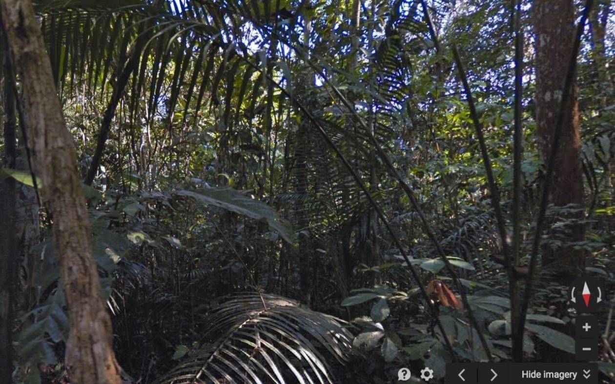 Google: Βρεθείτε με ένα κλικ στον Αμαζόνιο (video)