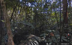 Google: Βρεθείτε με ένα κλικ στον Αμαζόνιο (video)