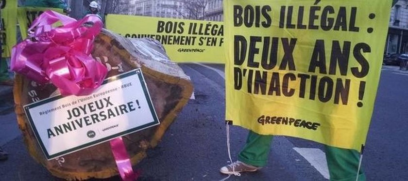 Greenpeace: Διαμαρτυρία με κορμό τεσσάρων τόνων μπροστά από υπουργείο (vid & pics)