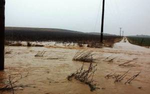 Ξάνθη: Πλημμύρισαν αγροτικοί δρόμοι και καλλιέργειες (video)