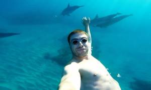 Πώς είναι να κολυμπάς με δεκάδες δελφίνια; (video)