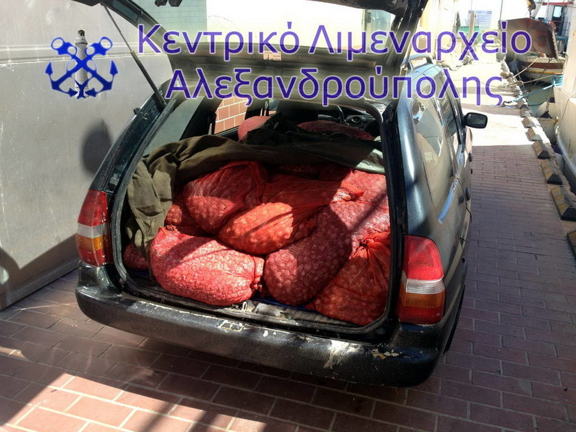 Αλεξανδρούπολη: Κατασχέθηκε μεγάλη ποσότητα ακατάλληλων οστράκων (pic)