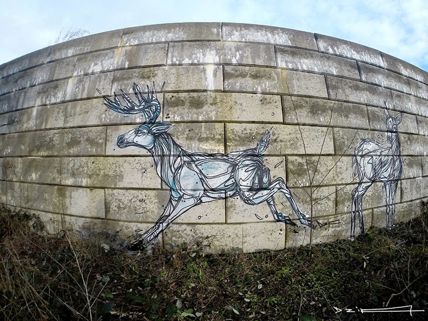 Street art στο Βέλγιο (photos)