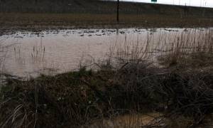 Πλημμύρισαν χωράφια και δρόμοι στην Εύβοια (video)
