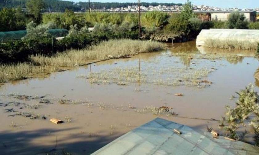 Σέρρες: Κινδυνεύει να πλημμυρίσει κτηνοτροφική μονάδα